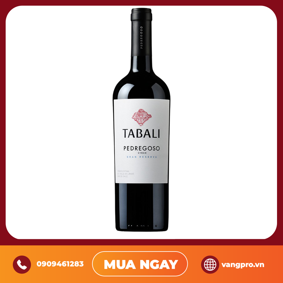 VANG ĐỎ CHILE TABALI PEDREGOSO SYRAH GRAN RESERVA