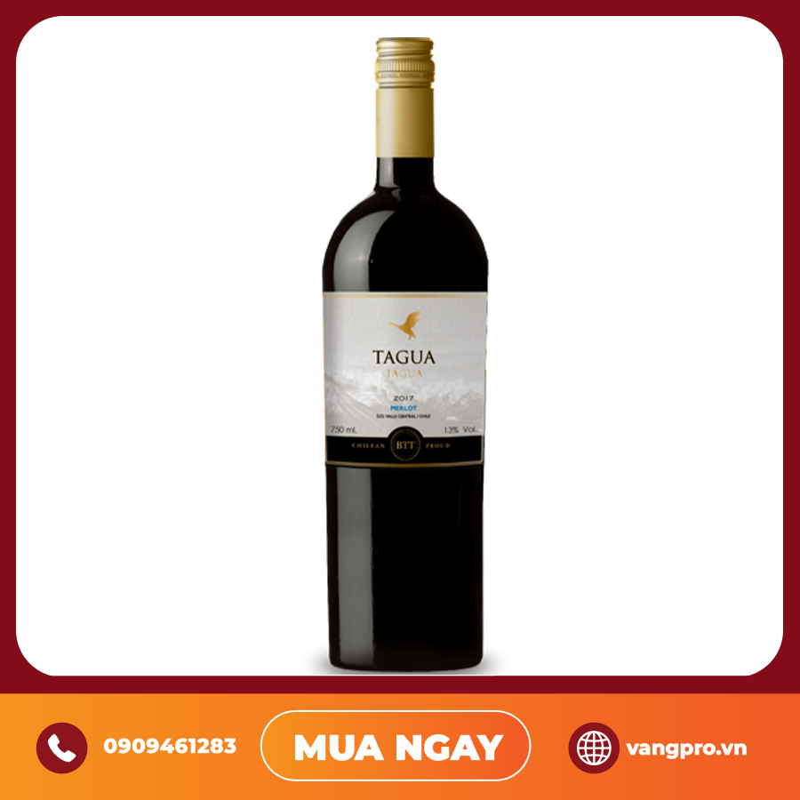 VANG ĐỎ CHILE TAGUA TAGUA MERLOT CENTRAL VALLEY