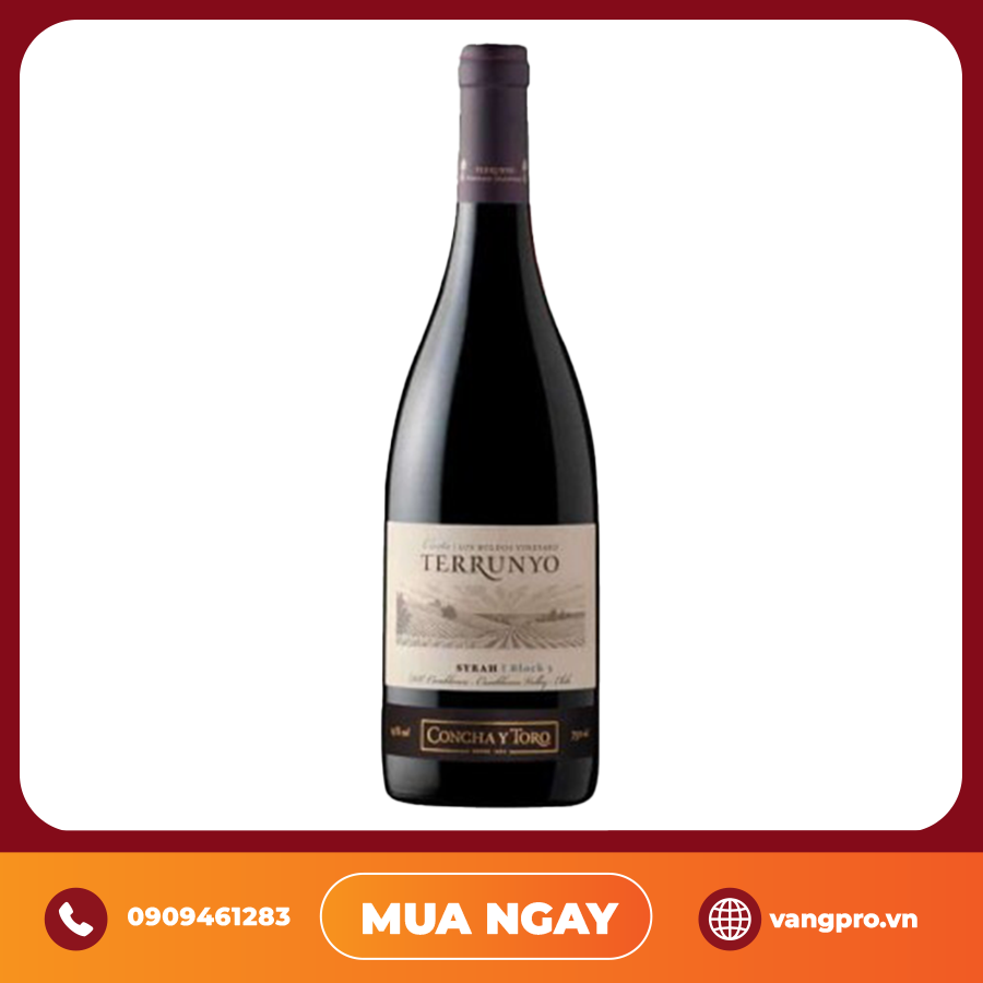 VANG ĐỎ CHILE TERRUNYO SYRAH BLOCK 3 DISCONTINUED
