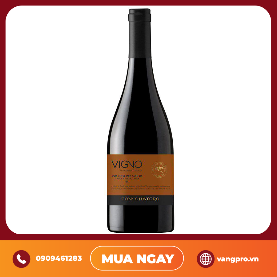 VANG ĐỎ CHILE VIGNO OLD VINES DRY FARMED CONCHA Y TORO CARIGNAN