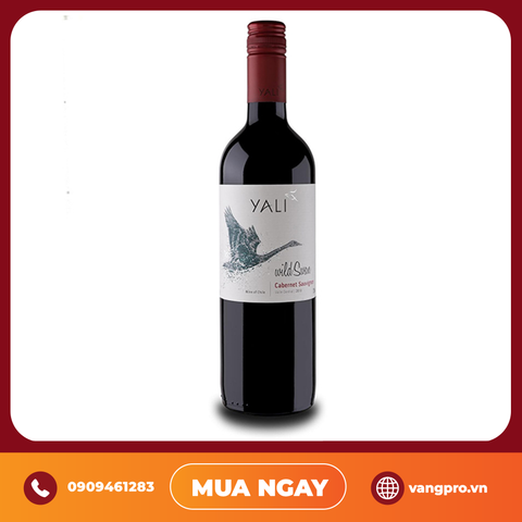 VANG ĐỎ CHILE YALI WILD SWAN
