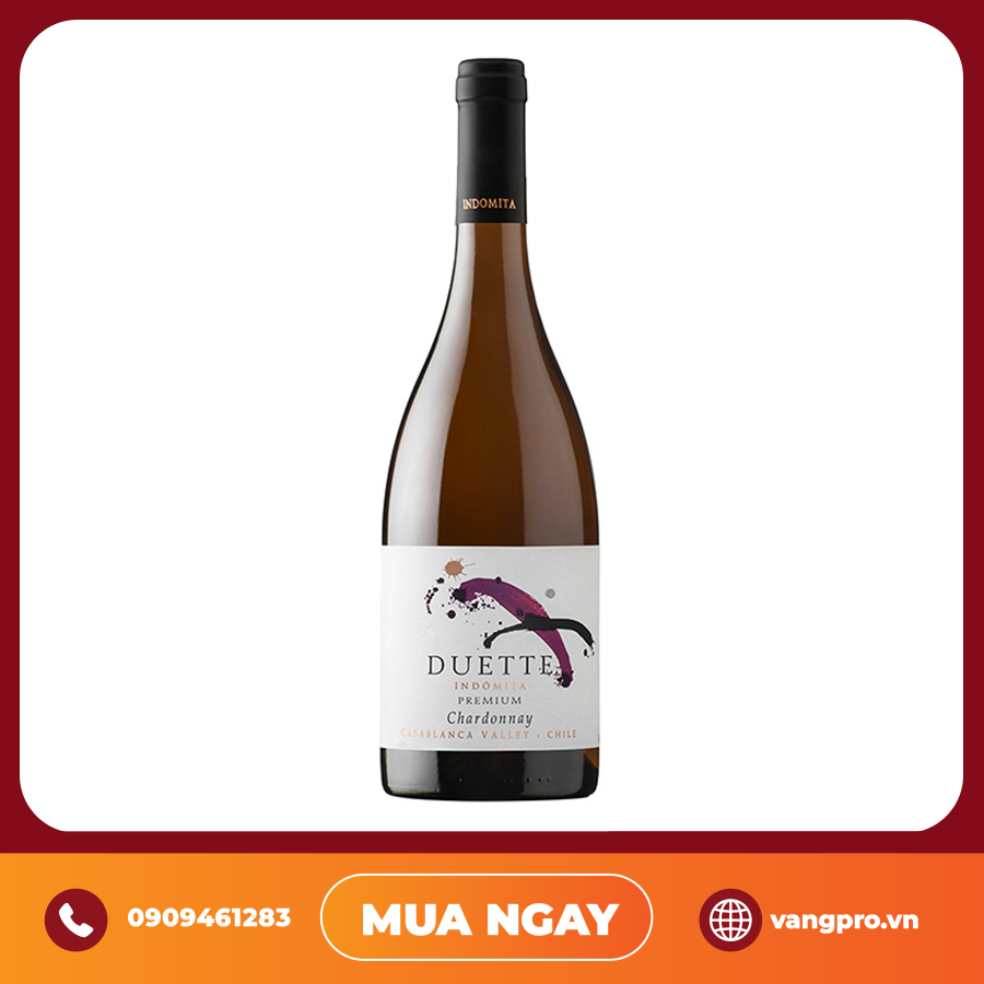 VANG TRẮNG CHILE INDOMITA DUETTE PREMIUM WHITE