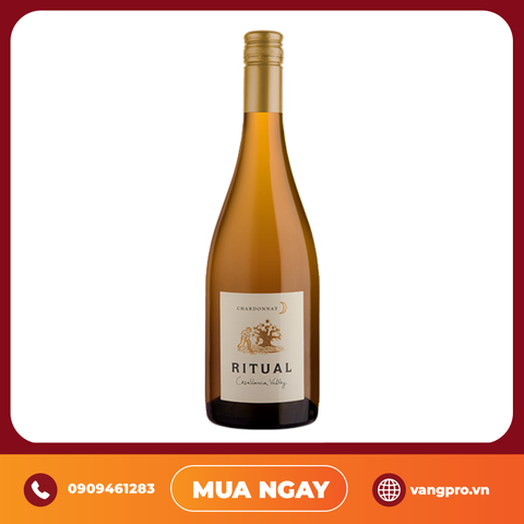 VANG TRẮNG CHILE RITUAL CHARDONNAY CASABLANCA VALLEY