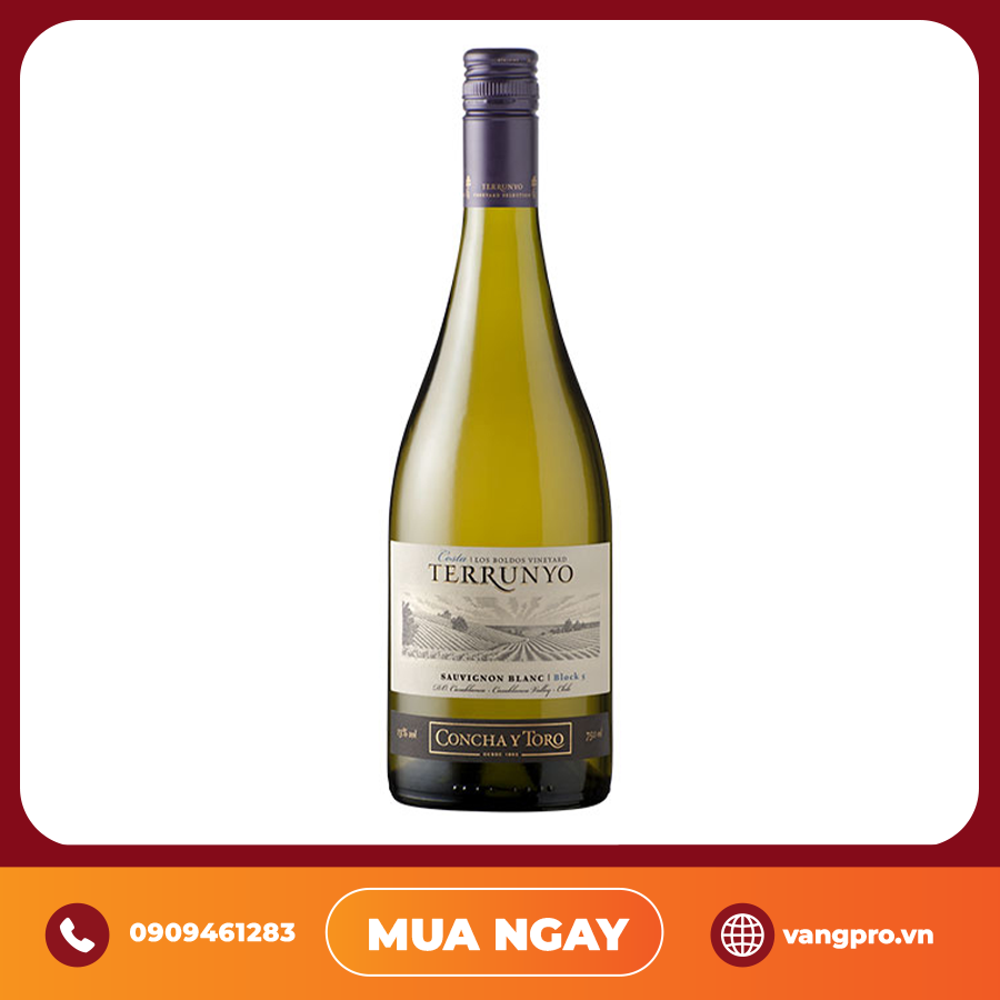 VANG TRẮNG CHILE TERRUNYO SAUVIGNON BLANC BLOCK 5 CONCHA Y TORO