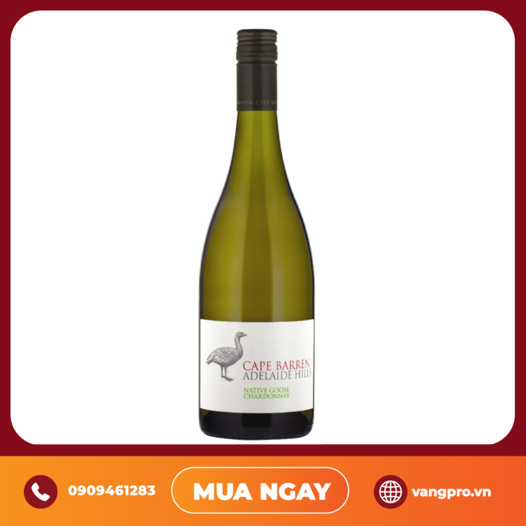 VANG TRẮNG ÚC CAPE BARREN ADELAIDE HILLS NATIVE GOOSE NHẬP KHẨU