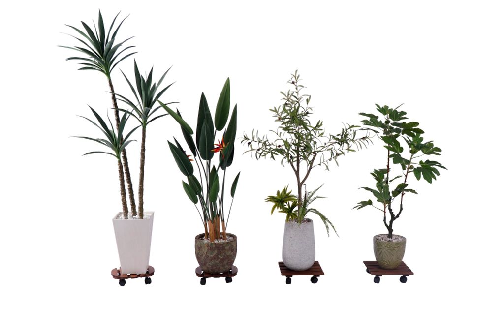 Combo 2 Đế Chậu Cây Vuông Có Bánh Xe – Square Wooden Plant Caddy