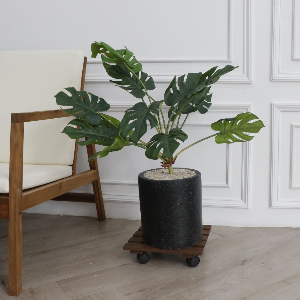 Combo 2 Đế Chậu Cây Vuông Có Bánh Xe – Square Wooden Plant Caddy