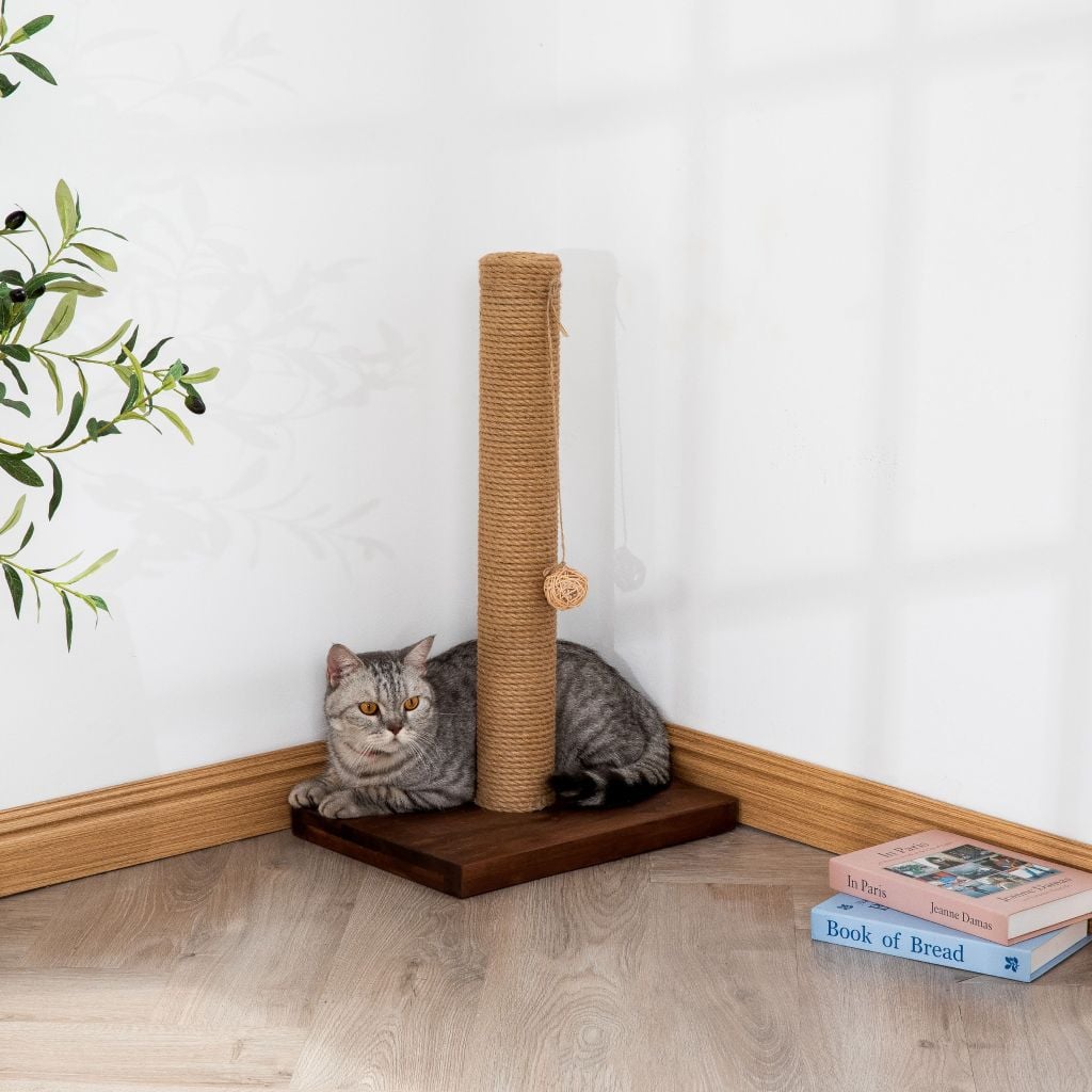 Trụ Mèo Cào Móng Đơn - Cat Scratching Post