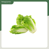 Bắp Cải Thảo Kamereo