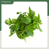 Húng Cây Hữu Cơ Bio Ngon 50g