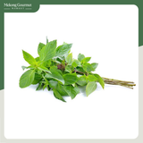 Húng quế Hữu cơ Bio Ngon 50g