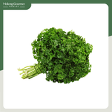 Ngò Tây Xoắn The Farm House 100g