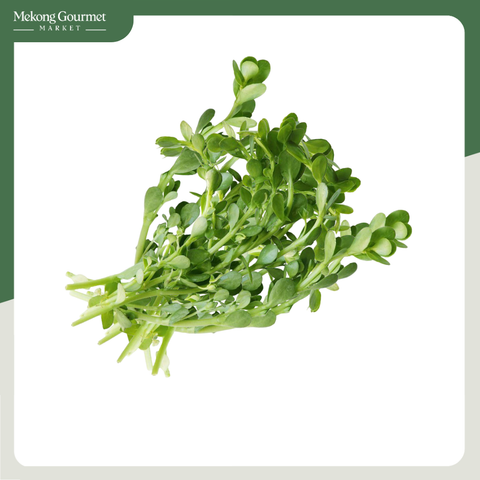 Rau đắng Bio Ngon 250g