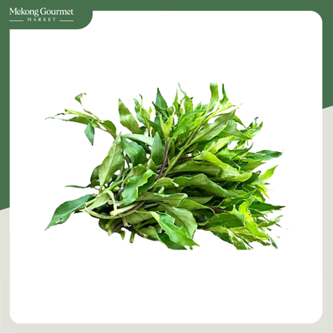 Rau Rừng Hữu Cơ Bio Ngon 300g