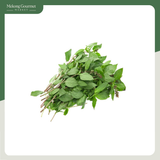 Húng Quế Kamereo 100g