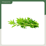 Ngò Ôm Kamereo 100g