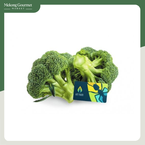 Bông Cải Xanh Brocoli Ant Farm