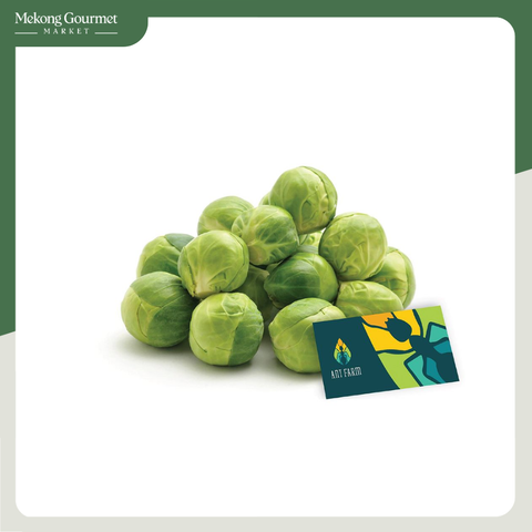 Búp Bắp Cải Xanh Green Brussels Sprouts Ant Farm
