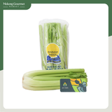 Cần Tây Úc Ant Farm