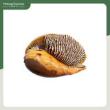 Thịt ốc giác Bến Mỹ Liêu Giang 200g