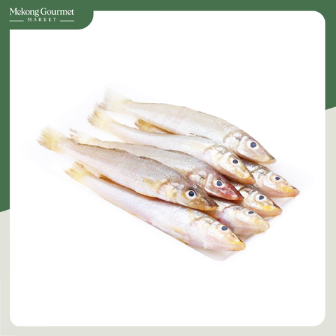 Cá bống đục Bến Mỹ Liêu Giang 300g