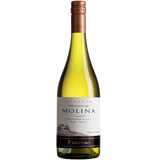 Rượu Vang Trắng Castillo de Molina Reserva Sauvignon Blanc