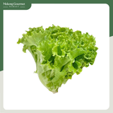 Xà Lách Lolo Xanh Bio Ngon (150-170g/gói)