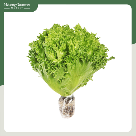 Xà Lách Thủy tinh The Green Market