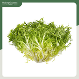 Xà Lách Xoắn Xanh The Farm House 300g