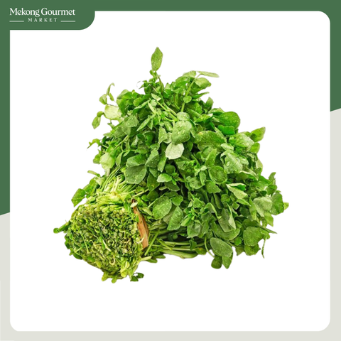 Xà Lách Xoong An Lạc 200g