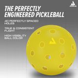  Heleus Pickleballs (4 pack) - Global Launch Planning in March, 2024 