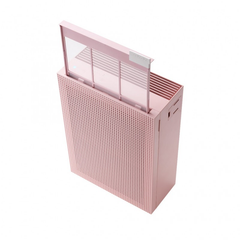 Máy lọc không khí Coway AP-1019C(P)