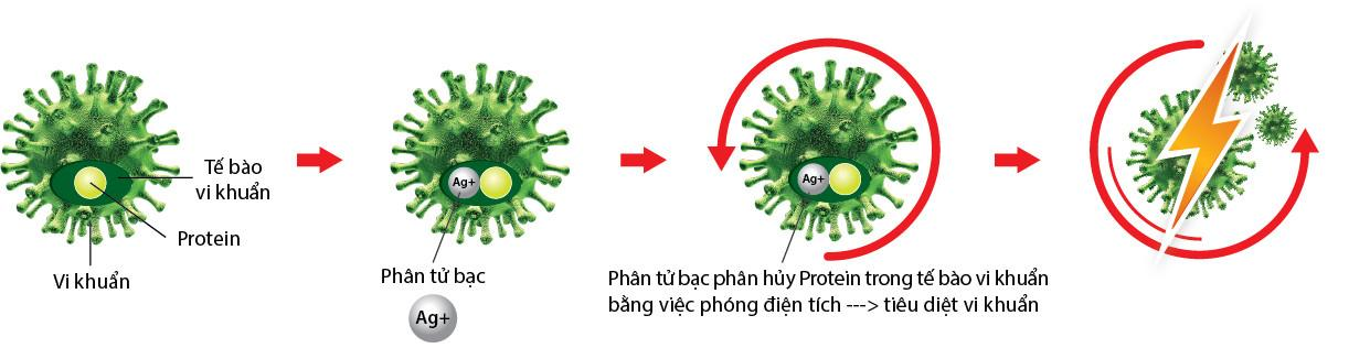 Công nghệ Nano-Silver diệt khuẩn, khử mùi của tủ lạnh side by side Teka NFD 650 40666650