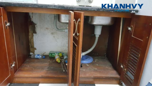 Rêu và nấm mốc dưới bồn rửa là một trong các nguyên nhân gây mùi hôi khó chịu