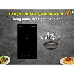 Bếp Từ Âm Malloca MDI 301 (1 Vùng Nấu)