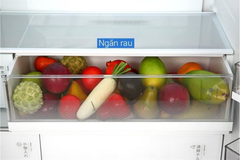 Tủ lạnh Toshiba GR-RF690WI-PGV(67) 533L