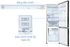 Tủ lạnh Samsung RB30N4190BY/SV 307 lít