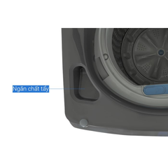 Máy giặt lồng đứng Samsung WA95CG4545BDSV