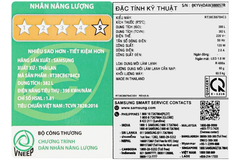 Tủ lạnh Samsung Bespoke RT38CB6784C3SV 382 lít