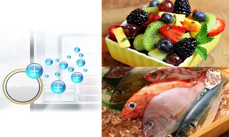 Ngăn mát hoạt động mạnh mẽ giúp thực phẩm luôn tươi ngon