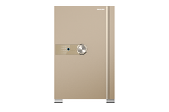 Két sắt Philips SBX202-7C0 70kg Gold