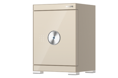 Két sắt Philips SBX602-6CU 89KG Champagne Gold