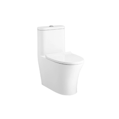Bàn cầu 1 khối Cotto C11001HNOS nắp đóng êm