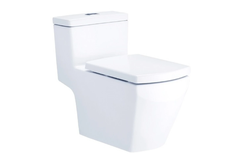 Bàn cầu 01 khối Cotto C10717 nắp đóng êm