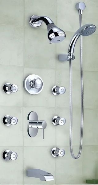 Sen tắm Moen 2244