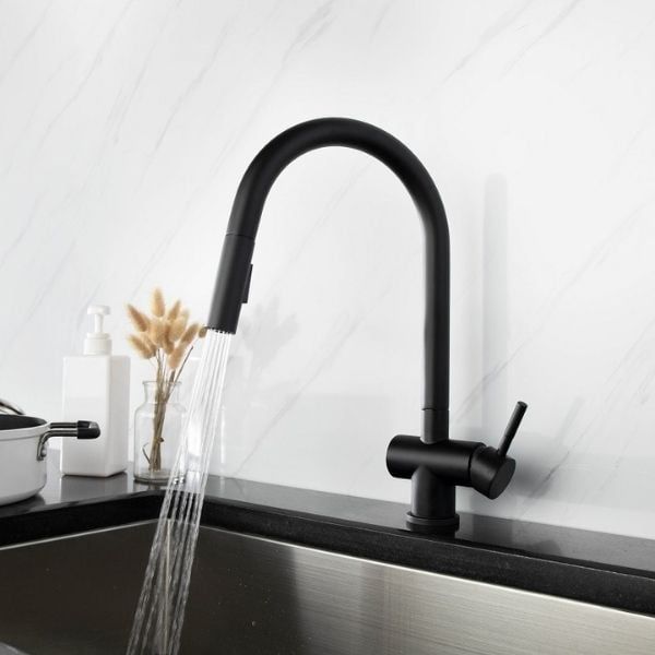 Vòi rửa bát Kluger Rene KLF0008B