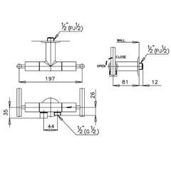 Củ sen tắm lạnh Cotto CT172C20(HM)