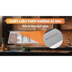Chậu rửa chén Malloca MS 8817 N