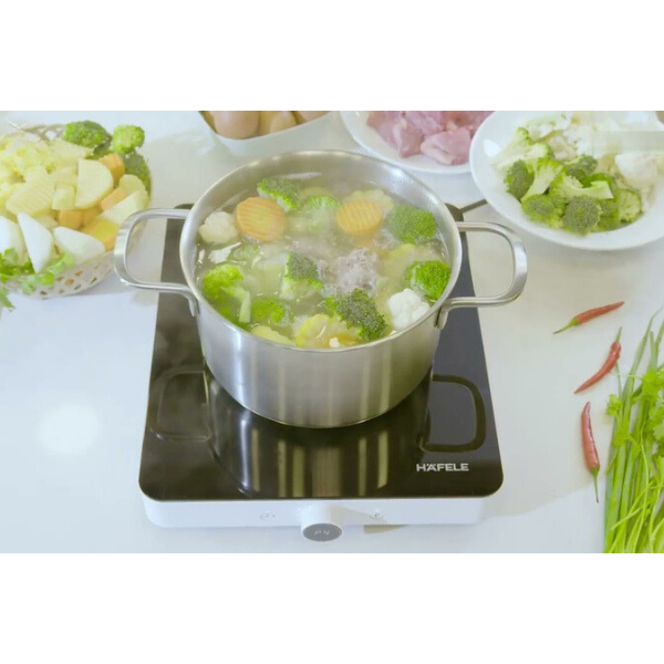 Bếp từ đơn Hafele HSI-21FW 536.61.990