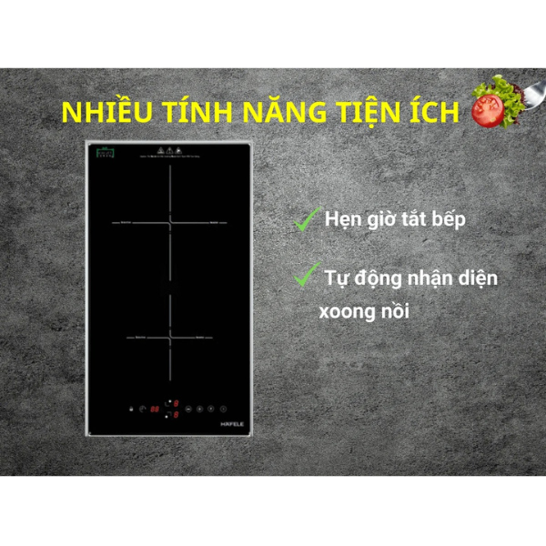 Bếp từ Domino Hafele 536.61.930
